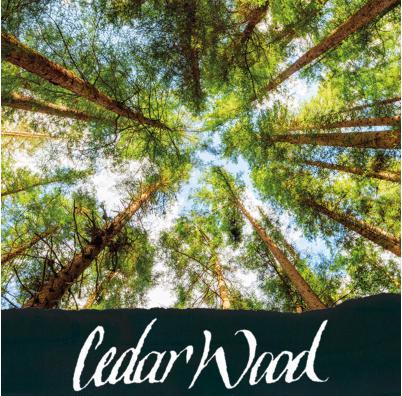 Produktbild Online Tintenglas 15ml Duftend (Braun, 1 Stk.)