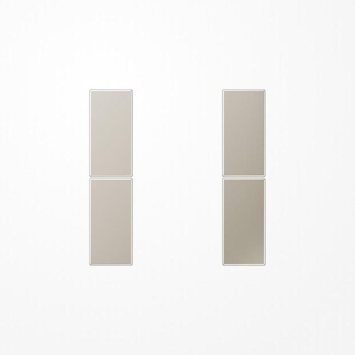 Actual product image JUNG Rocker Series Switch LS edst mt ES2502TSA