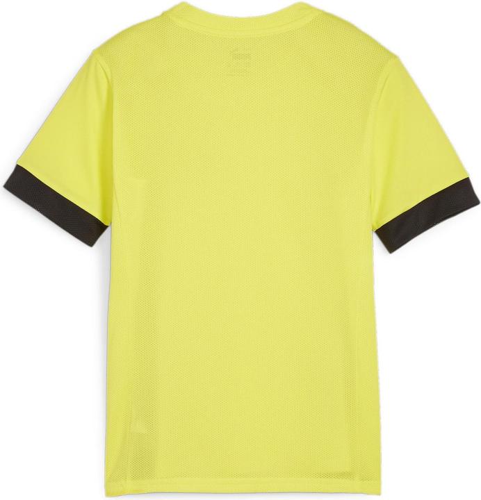 Actual product image Puma teamGOAL Matchday Jersey jr (152)