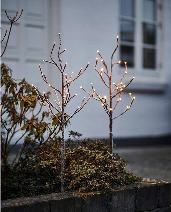 Actual product image Sirius Alex