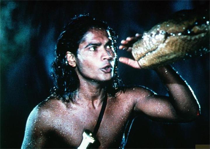 Actual product image Plaion The Jungle Book (Blu-ray, 2022, English, German)