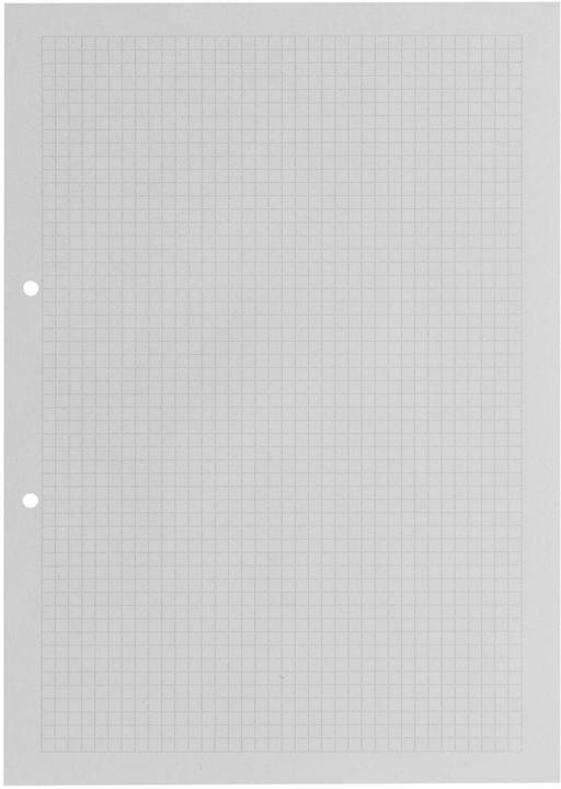Office Heftblatt UWS A4, Kariert, Grau (A4, Kariert, Kein Einband)