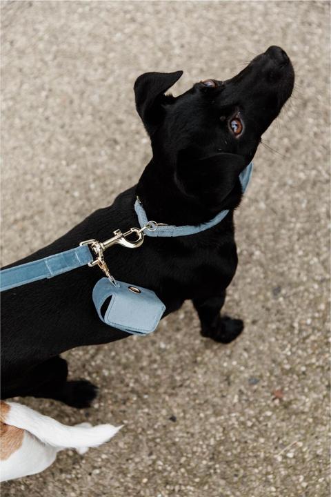 Produktbild Kentucky Dogwear Kotbeutelspender Velvet Square (One Size, Hund, Allgemein)
