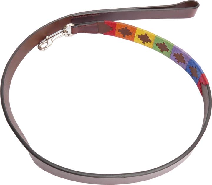 Produktbild Kipita Leine Rainbow 120cm