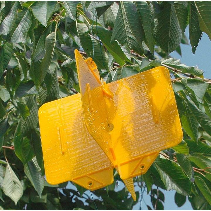 Produktbild Andermatt Biogarten Rebell