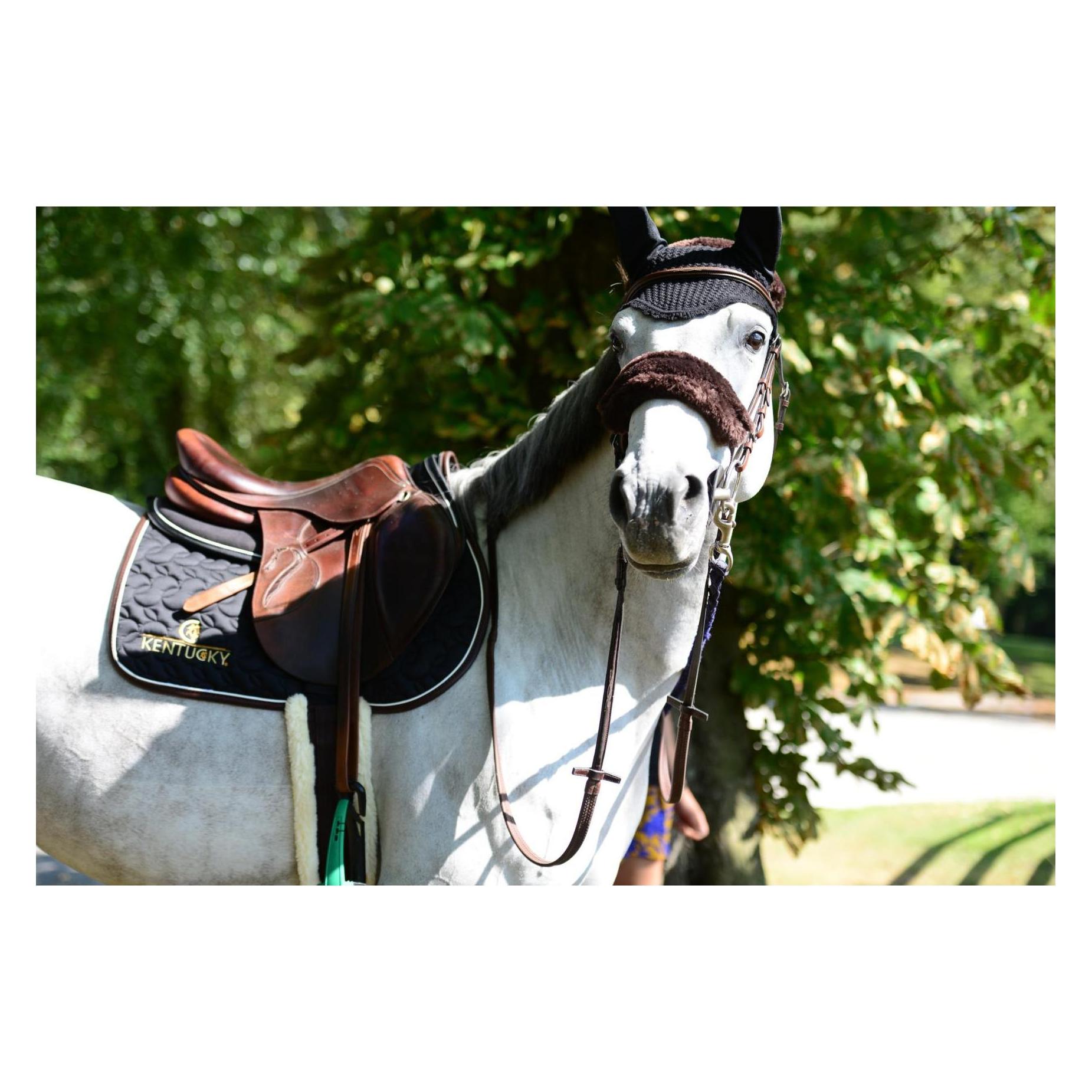 Kentucky Horsewear, Reitsattel