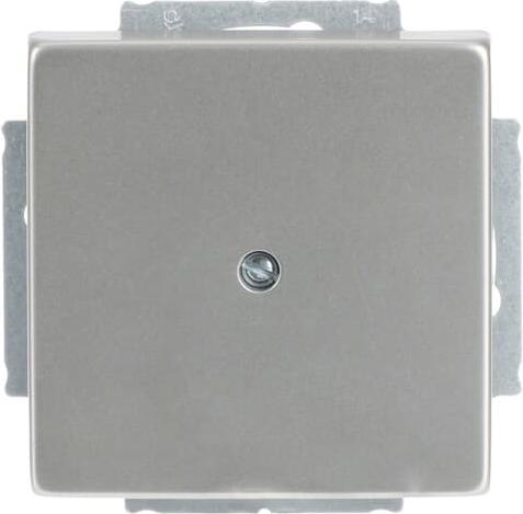 Actual product image Busch-Jaeger Central disk