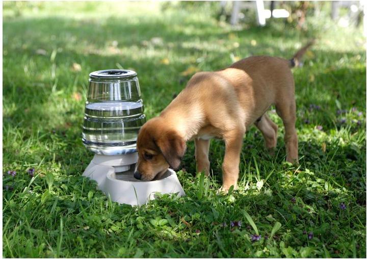 Immagine prodotto Kerbl Distributore d'acqua Nuvola (1100 cl)