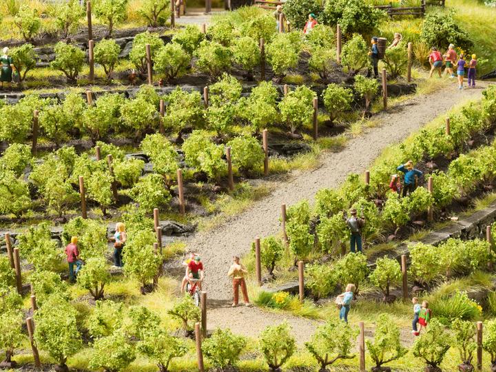 Actual product image Noch 21545 Universal vines