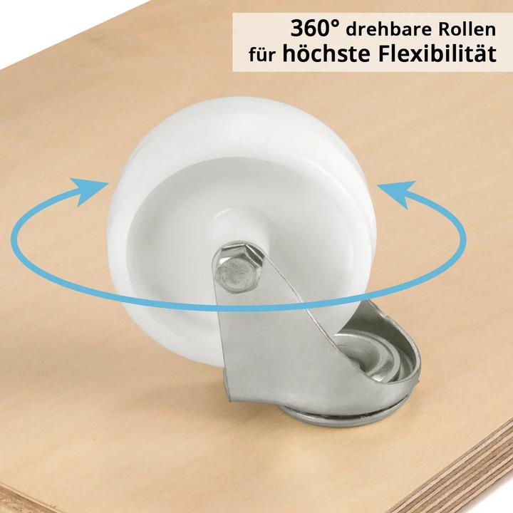 Actual product image Stahlwerk Rollwagen 2er Set bis 250 kg 58 x 29 cm Rollbrett Transportroller (250 kg)