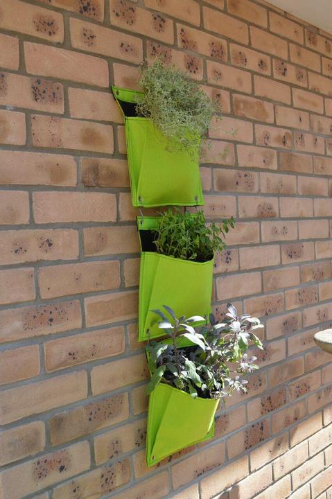 Immagine prodotto VegTrug Parete vivente