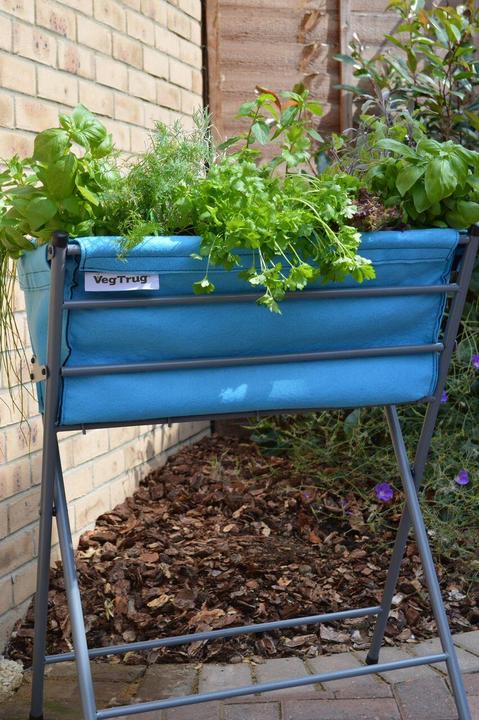 Produktbild VegTrug Poppy