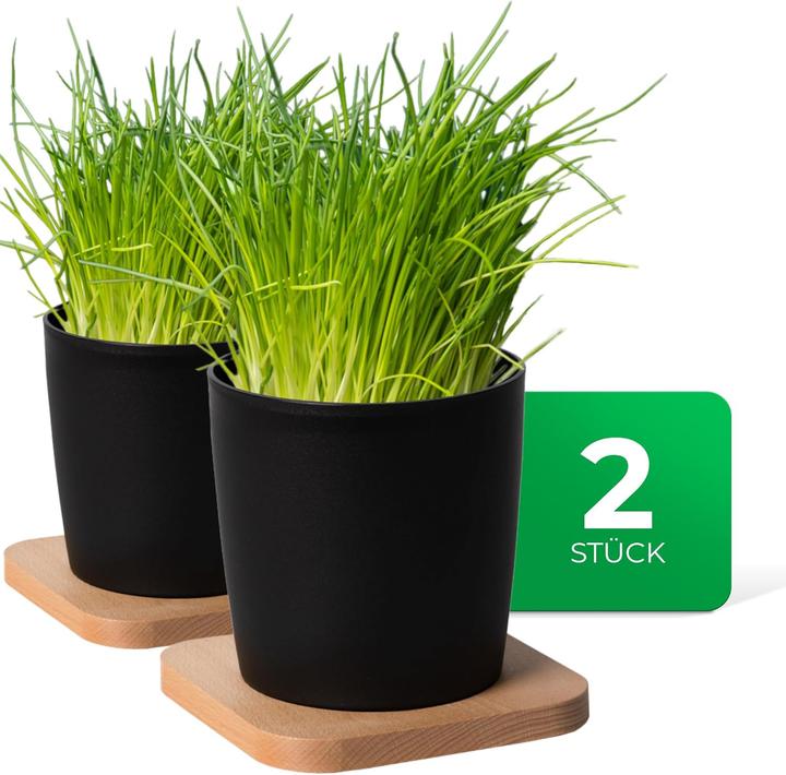 Novaliv Stilvolle 2er Set Kräutertopf mit Holzunterlage für Jede Fensterbank, Für frische Küchenkräu (14 cm)