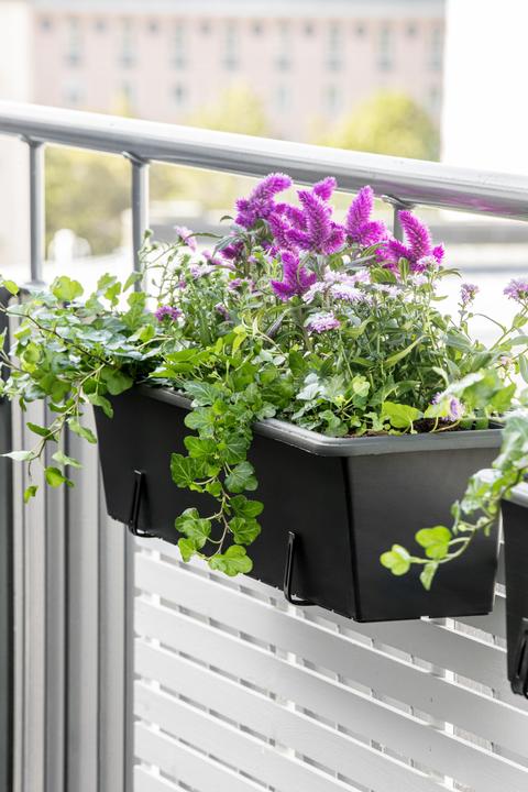 Produktbild Orthex Botanica