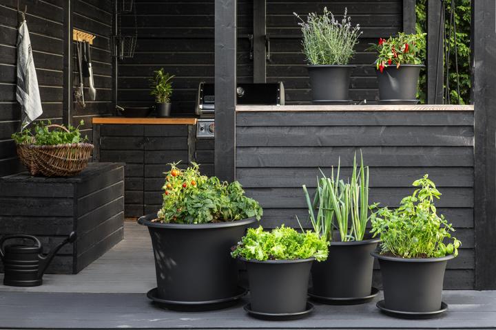 Immagine prodotto Orthex Sottobicchiere 'Botanica