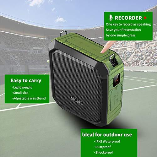 Actual product image Shidu Voice amplifier