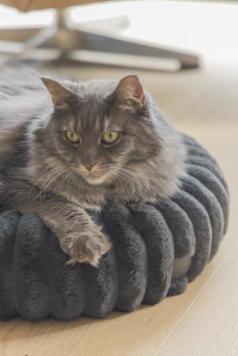Actual product image Designed by Lotte Katzenbett rund (Cat)