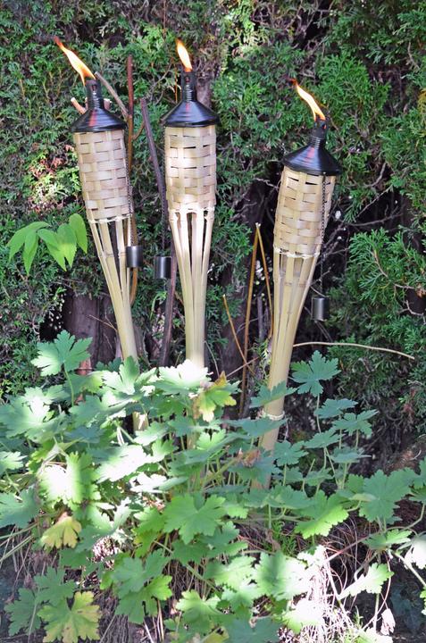 Actual product image Balthasar Bamboo torch