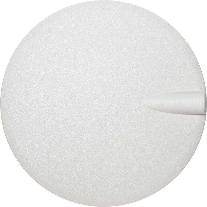 Immagine prodotto Agro Rosa da soffitto