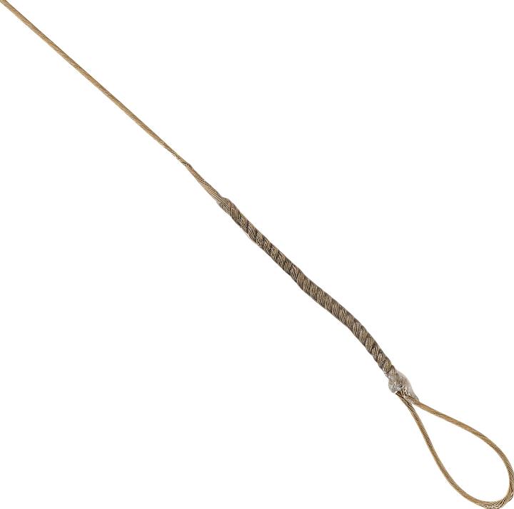 Immagine prodotto Caperlan Leader acciaio predator 2 occhielli 70 cm