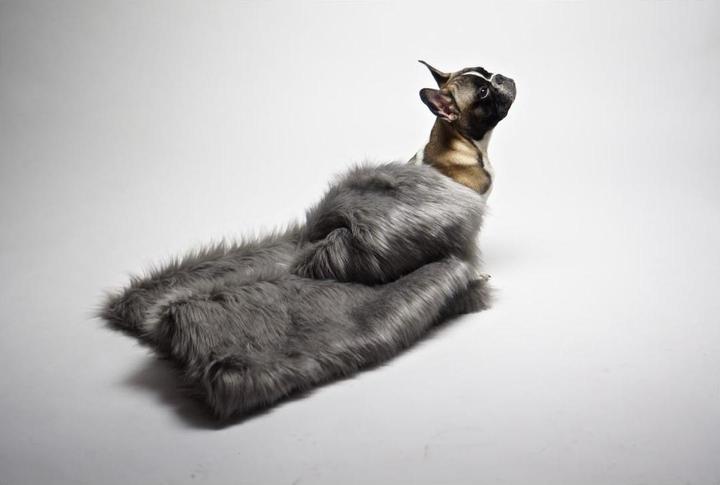 Actual product image Labbvenn Dog blanket FÖRA (Dog)