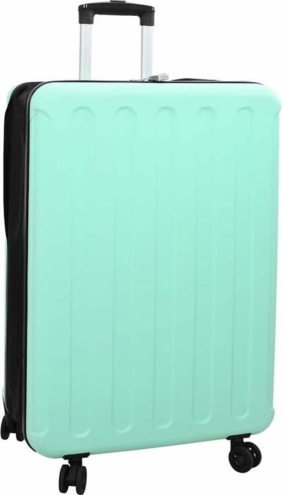 Actual product image VidaXL Mint green case