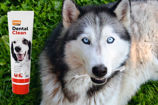 Actual product image Karlie Petcare toothpaste with brush (Dog)