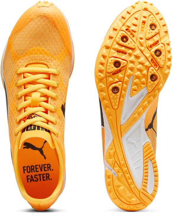 Image du produit Puma Evospeed Haraka 8 Unisexe (42.5)