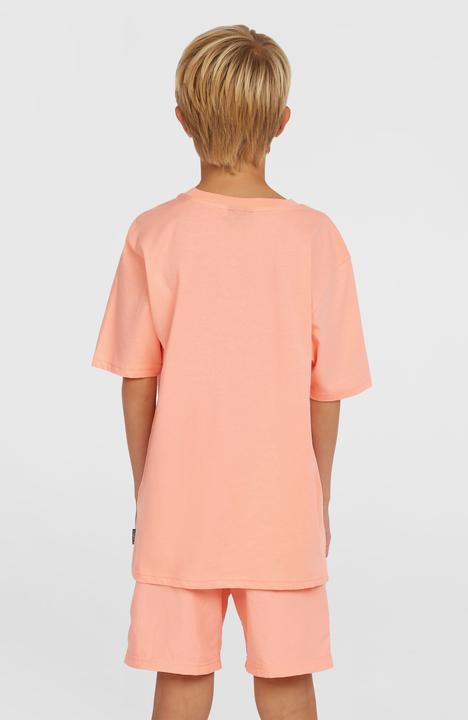 Produktbild O'Neill VERT 14" SWIMSHORTS