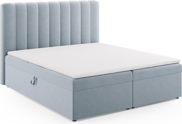 Produktbild Micadoni Kelp (160 x 210 cm)