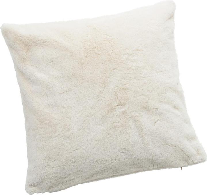 Johann Jakob Louanne (45 x 45 cm)