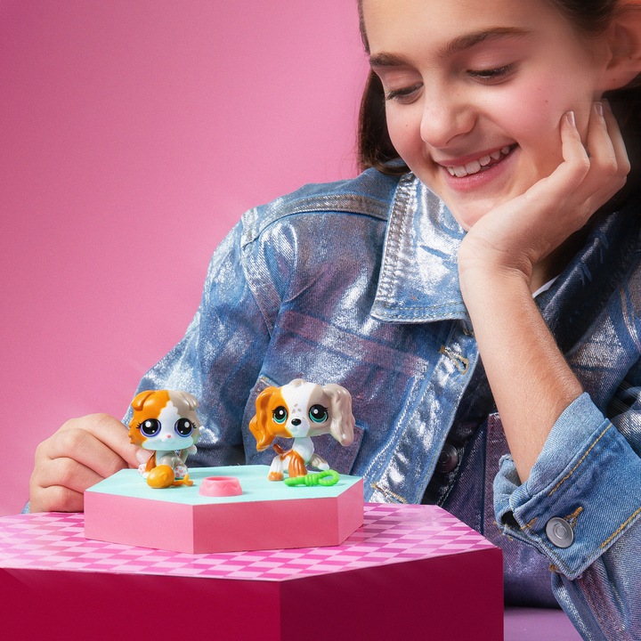 Actual product image Littlest Pet Shop - Pet Pair Ass CDU - (00623)