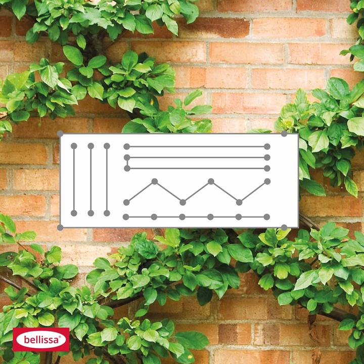 Produktbild Bellissa Spago Seilspanntechnik Set (100 cm, 0.20 cm)