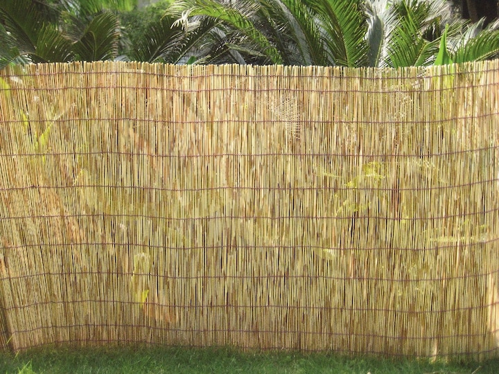 Image du produit Do it + Garden Tapis de roseaux (500 cm)