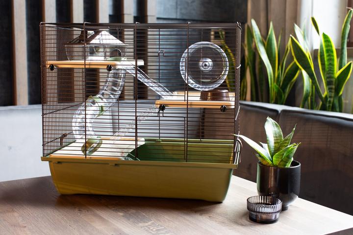 Actual product image Interzoo INTER-ZOO Klatka PINKY 3 JAPANDI 500x330x455