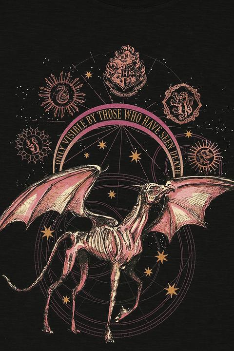 Produktbild Thestral (S)