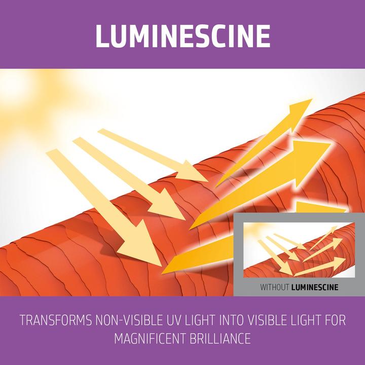 Image du produit Goldwell Dualsenses Blondes & Highlights Shampooing Anti-Yellow szampon do włosów blond (1000 ml, Shampoing pour cheveux gris)