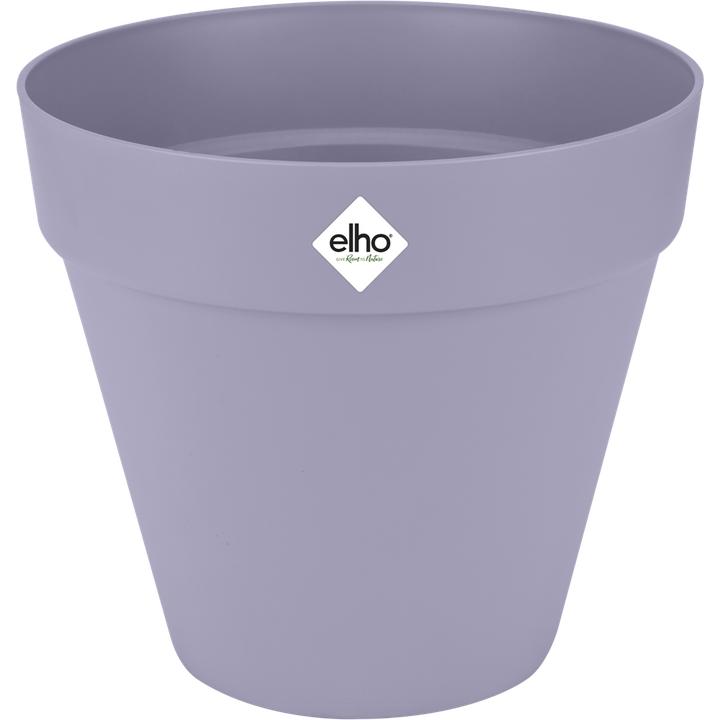 Lavender, Lilac, Violet