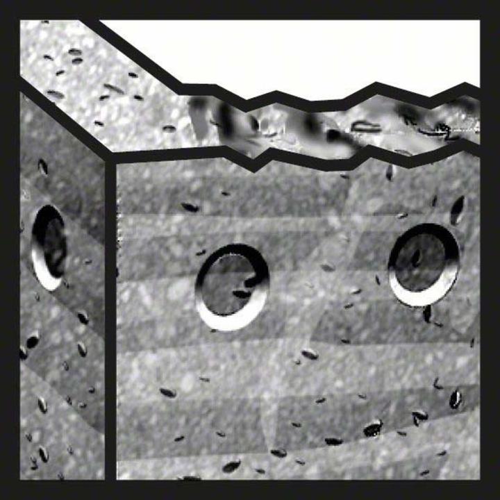 Actual product image Bosch Zubehör Carbide multipurpose drill (8 mm)