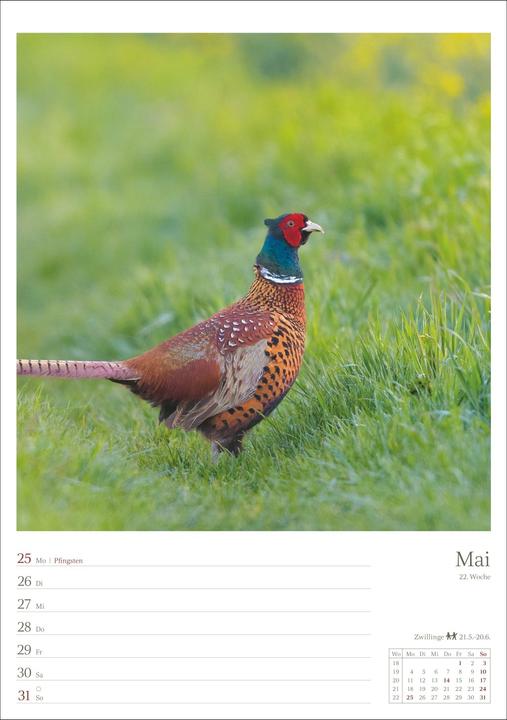 Actual product image Harenberg Landleben Wochenplaner 2026 - 53 Blatt mit Weisheit der Woche auf der Rückseite