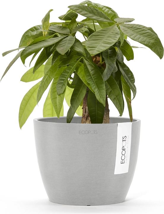 Produktbild Ecopots Stockholm (16 cm)