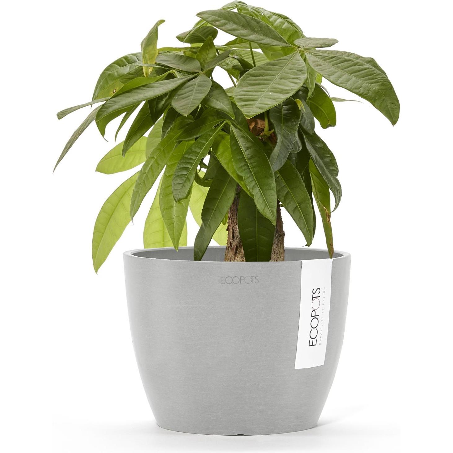 Thumbnail - Ecopots, Blumentopf, Stockholm (16 cm)