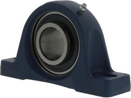 Actual product image SKF SYJ100 TF