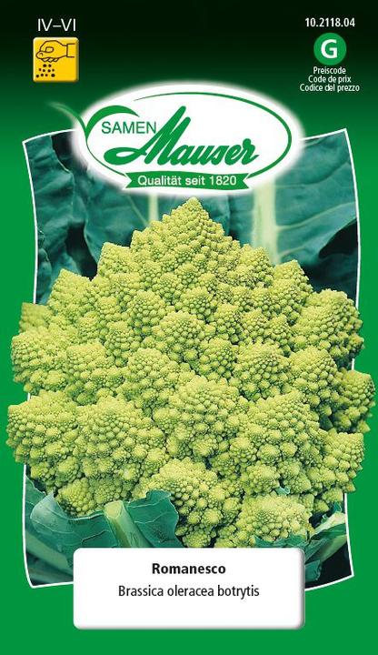 Produktbild Samen Mauser Blumenkohl Romanesco (Gemüsesamen)