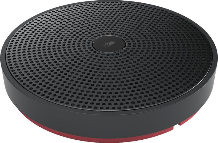 Immagine prodotto Audiocodes Rx40 USB Audio Perp With (20 W)