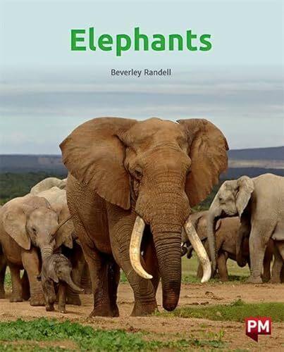 Elephants (Englisch, Beverley Randell, 2021)