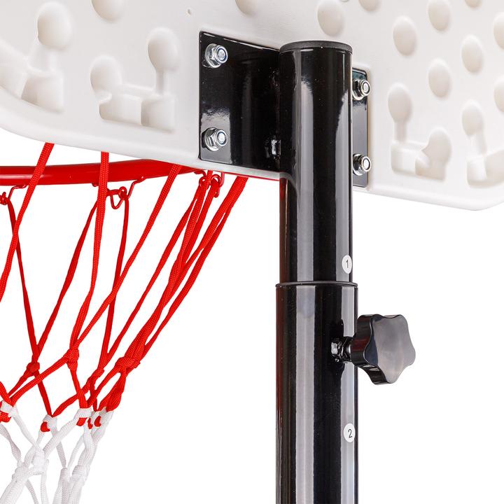 Immagine prodotto Dema Canestro estensibile con supporto fino a 305 cm
