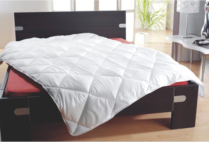 Lipo Aloe Vera (1500 g, Polyester, 200 x 210 cm)