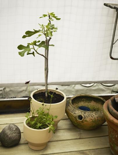 Produktbild Skagerak Edge (18 cm)