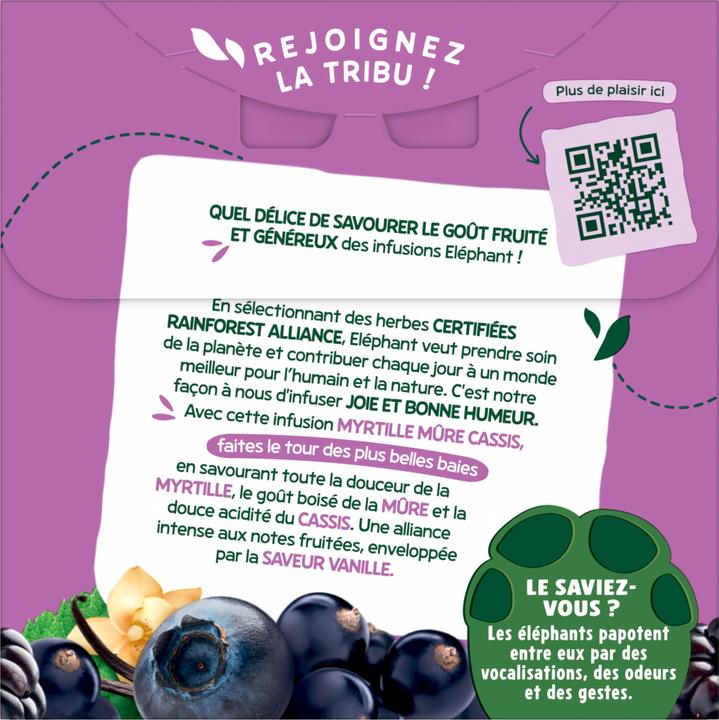 Immagine prodotto Elephant Infuso Myrtille Múre Cassis (40 g)